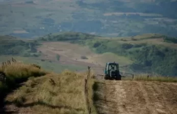 Automazione